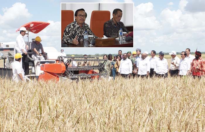 Balitbangtan Nilai Merauke Berpotensi jadi Lumbung Pangan Nasional